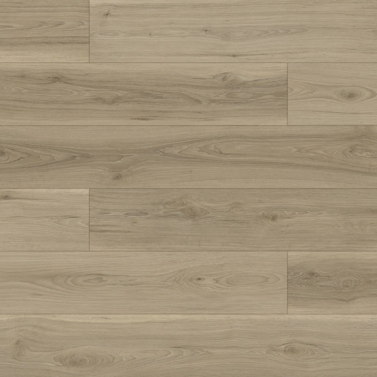 Fuzion Laminate Flooring FuzGuard Arizona