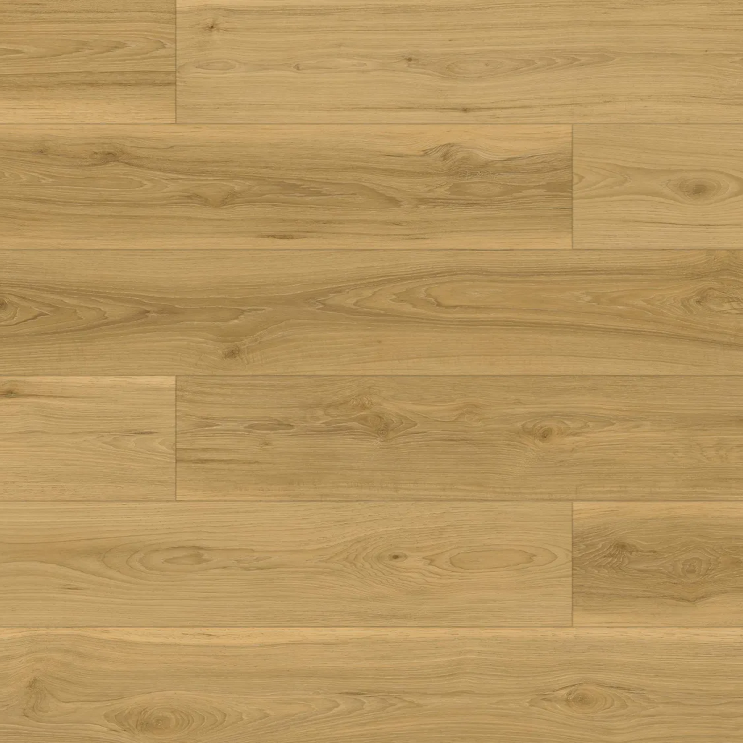 Fuzion Laminate Flooring FuzGuard Glendale