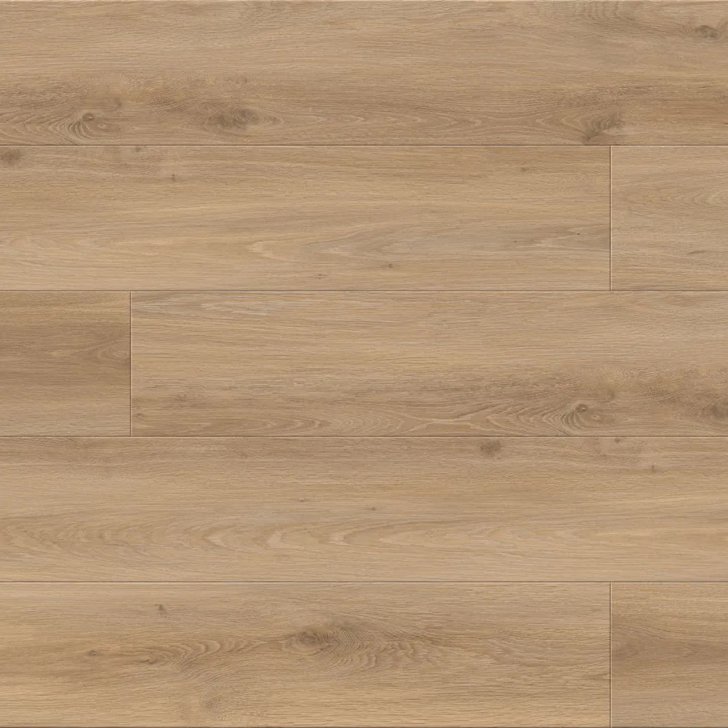 Fuzion Laminate Flooring FuzGuard Montana