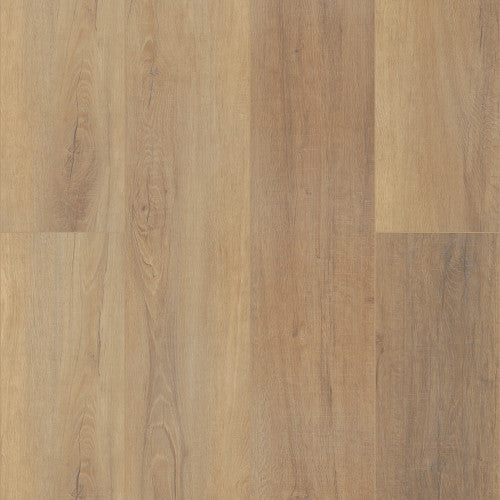 COREtec Pro Plus Enhanced HD 9" VV488 Canterbury Elm USF RESIDENTIAL CORETEC