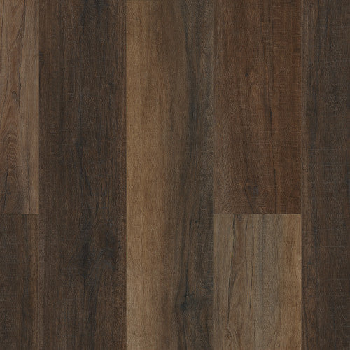 COREtec Pro Plus Enhanced HD 9" VV488 Cheshire Elm USF RESIDENTIAL CORETEC