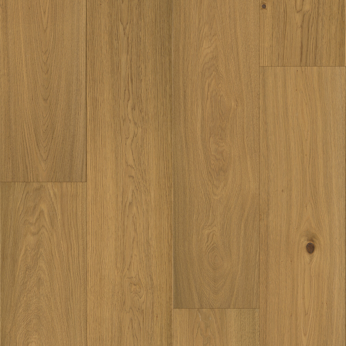 Beaux Arts Gilded engineered hardwood flooring square swatch