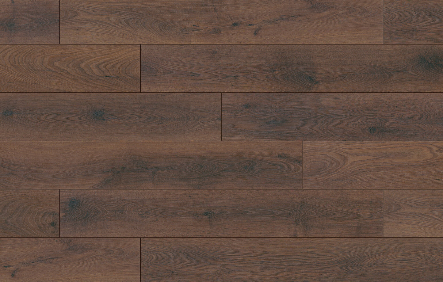 Bavaria Timberwolf Laminate Flooring, Fuzion swatch