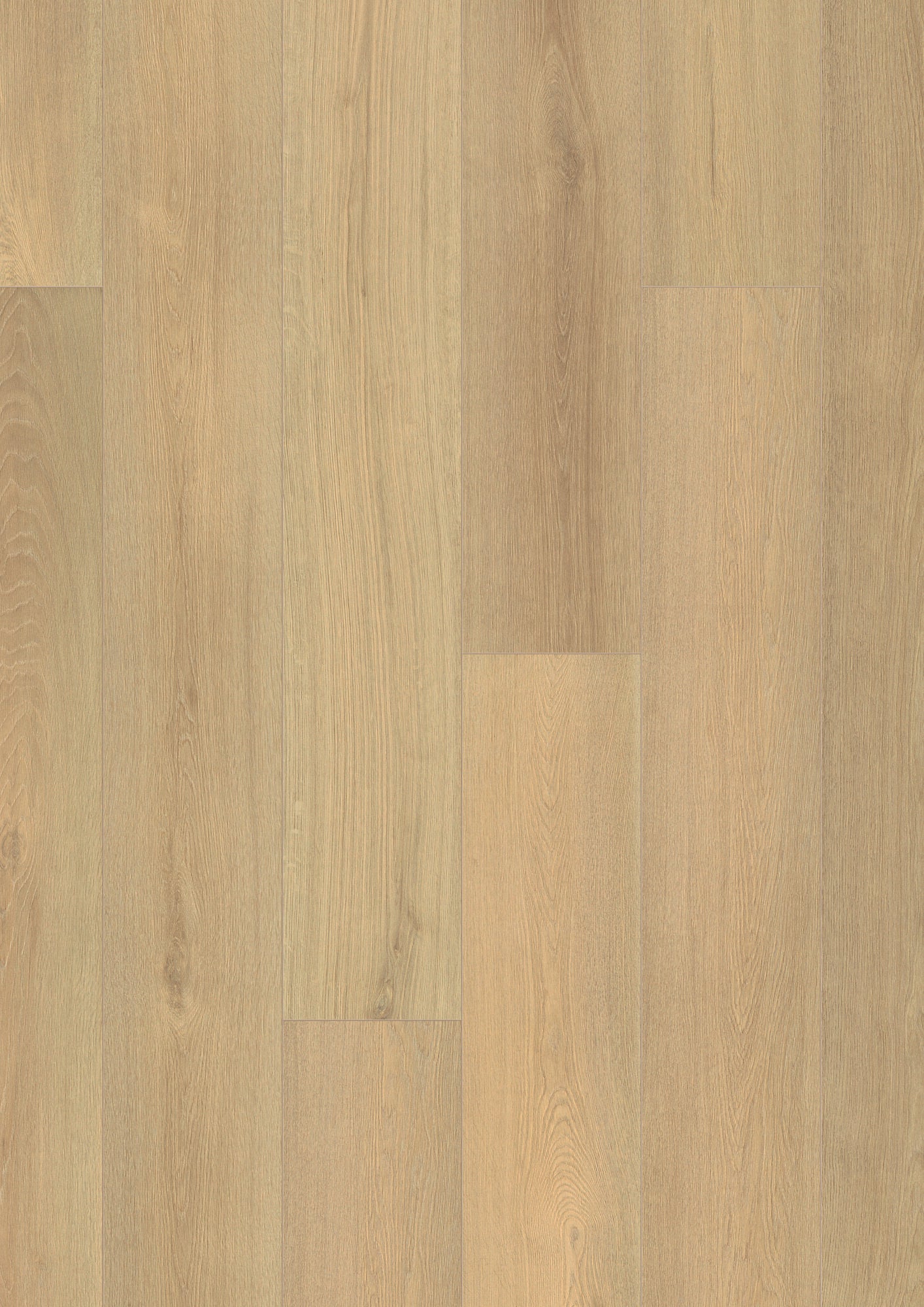 Bavaria Blonde Forest Laminate Flooring, Fuzion swatch