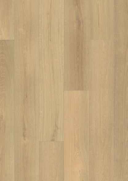 Bavaria Blonde Forest Laminate Flooring, Fuzion swatch
