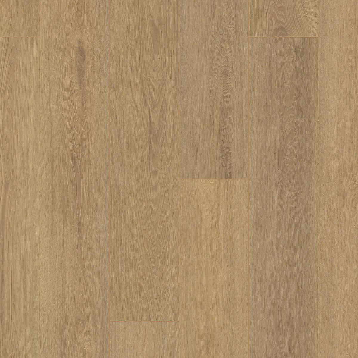 Bavaria Highland Oak Laminate Flooring, Fuzion square flooring swatch