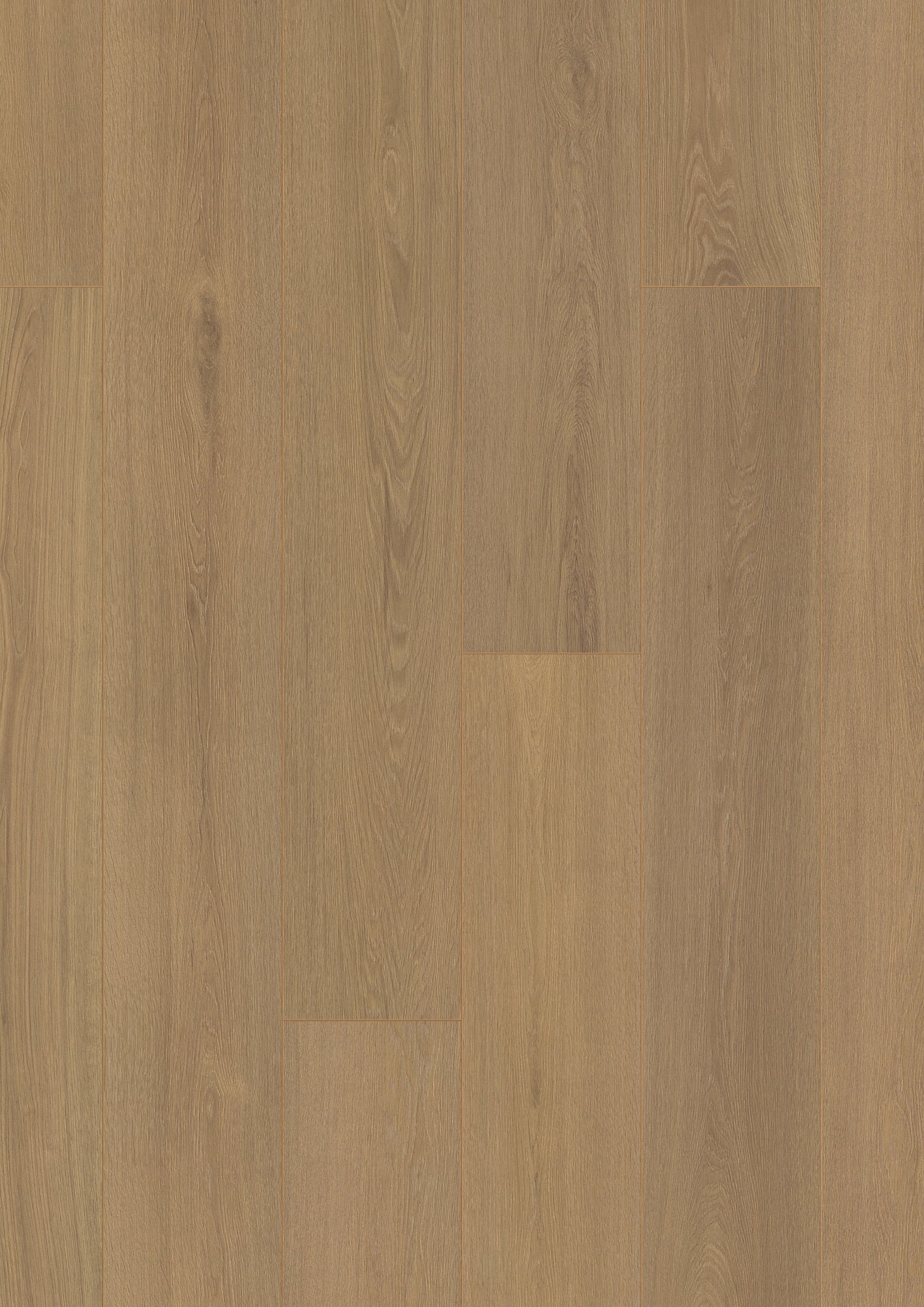 Bavaria Highland Oak Laminate Flooring, Fuzion swatch
