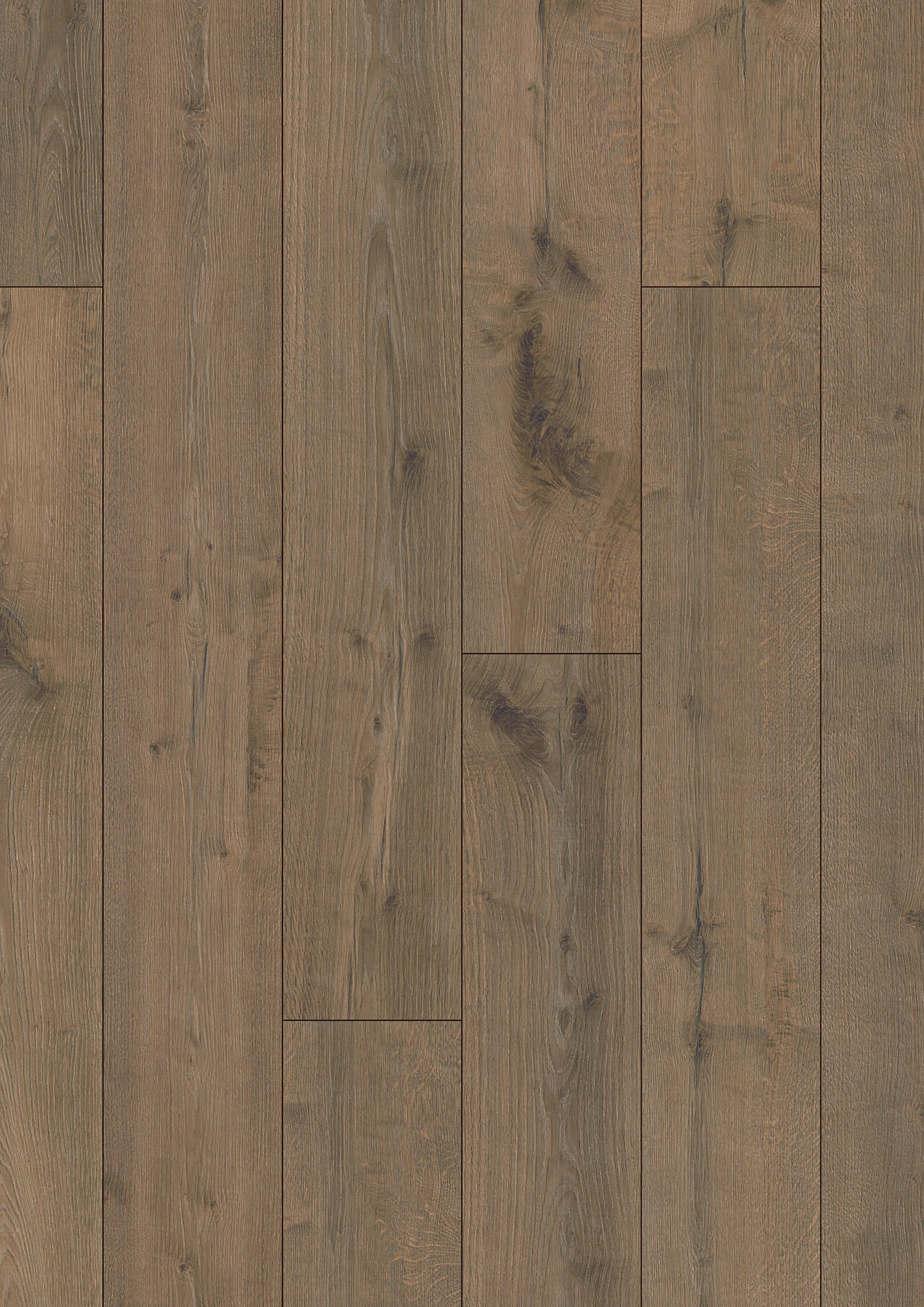 Bavaria Morning Edelweiss Laminate Flooring, Fuzion swatch