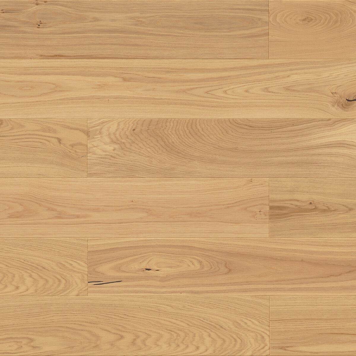 Briarwood Hawthorne Engineered Hardwood Flooring, Fuzion square flooring swatch