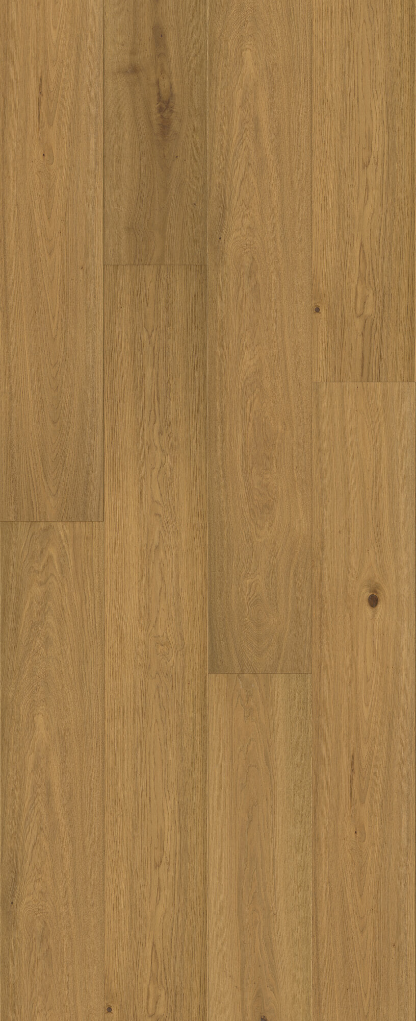Beaux Arts Gilded Engineered Hardwood Flooring, Fuzion swatch