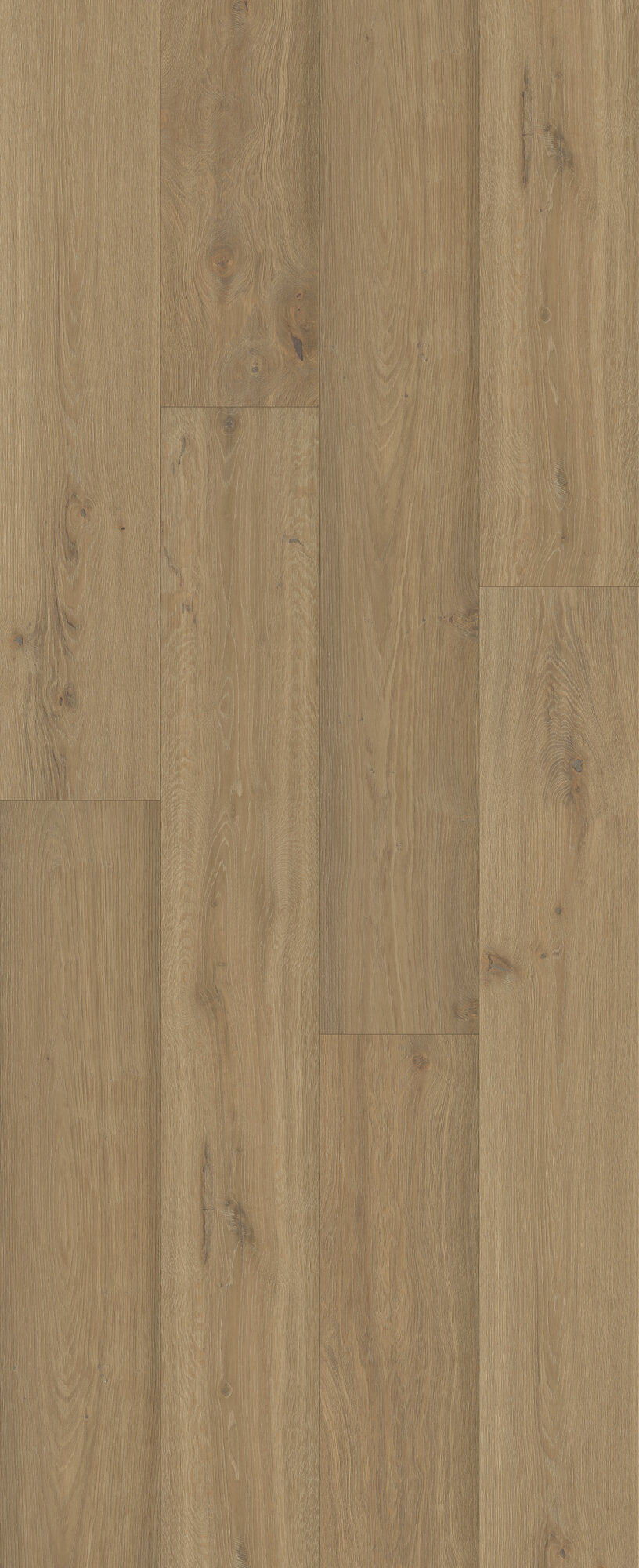 Beaux Arts Madrigal Engineered Hardwood Flooring, Fuzion swatch