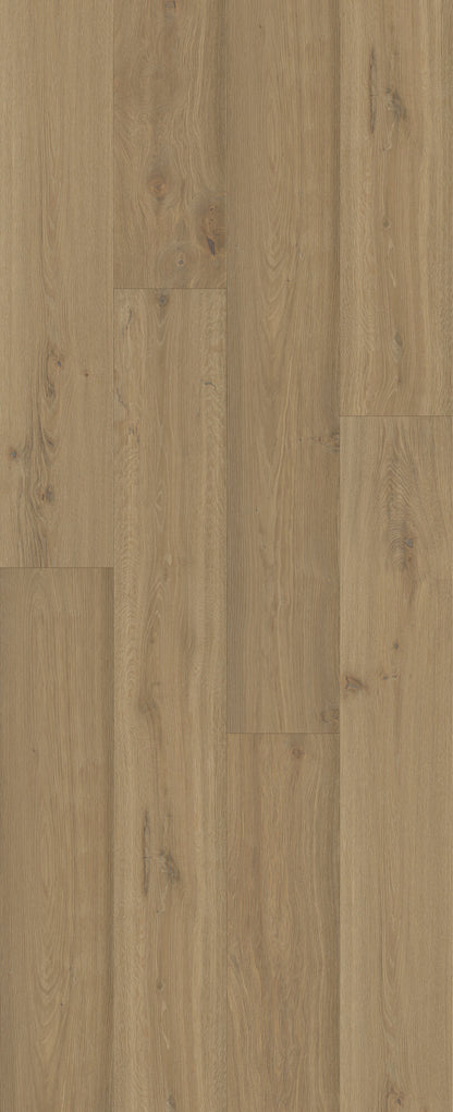 Beaux Arts Madrigal Engineered Hardwood Flooring, Fuzion swatch