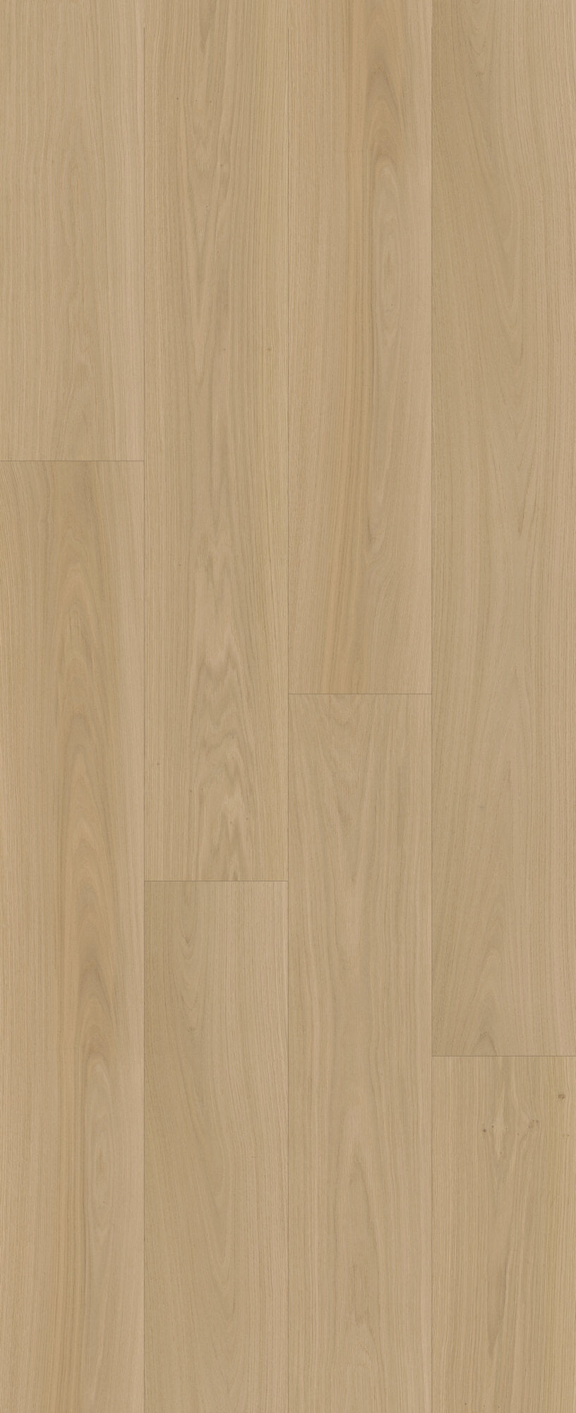 Beaux Arts Serenova Engineered Hardwood Flooring, Fuzion swatch