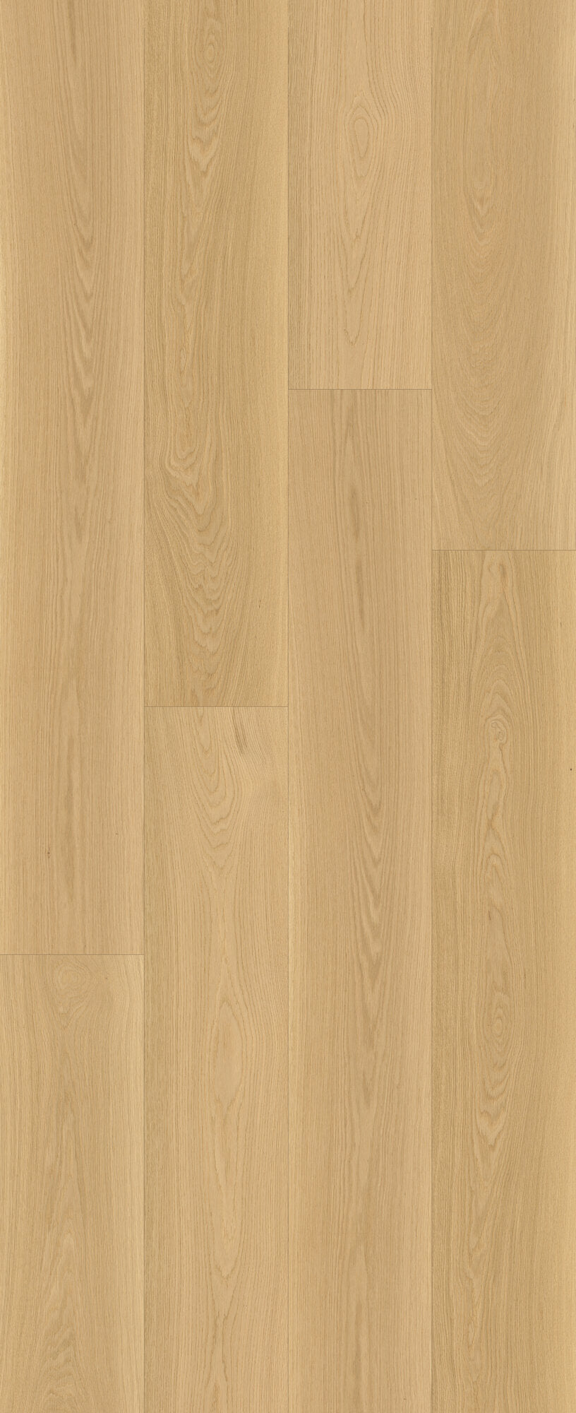 Beaux Arts Verismo Engineered Hardwood Flooring, Fuzion swatch
