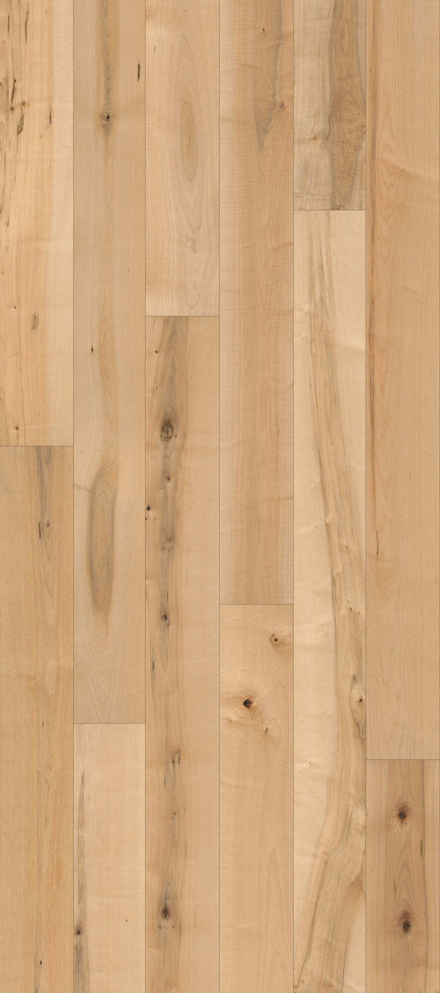 Classical Elegance Minuet Engineered Hardwood Flooring, Fuzion swatch