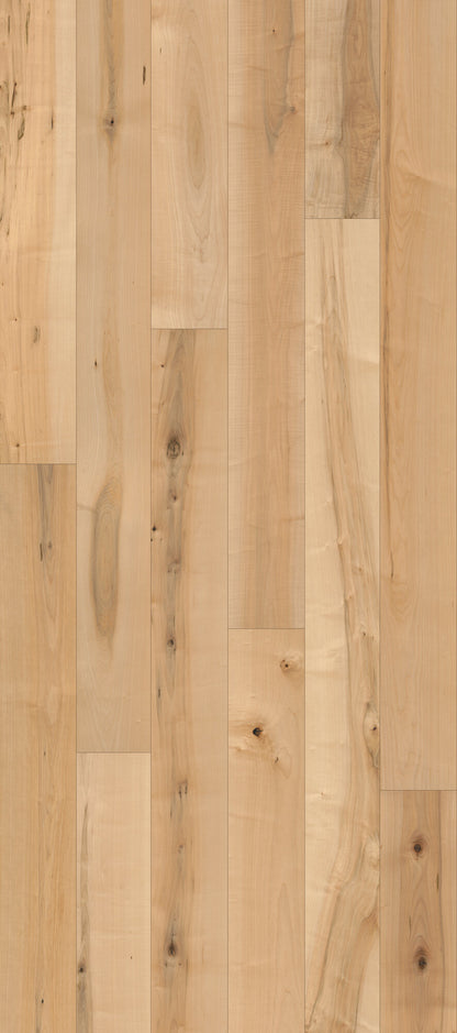 Classical Elegance Minuet Engineered Hardwood Flooring, Fuzion swatch