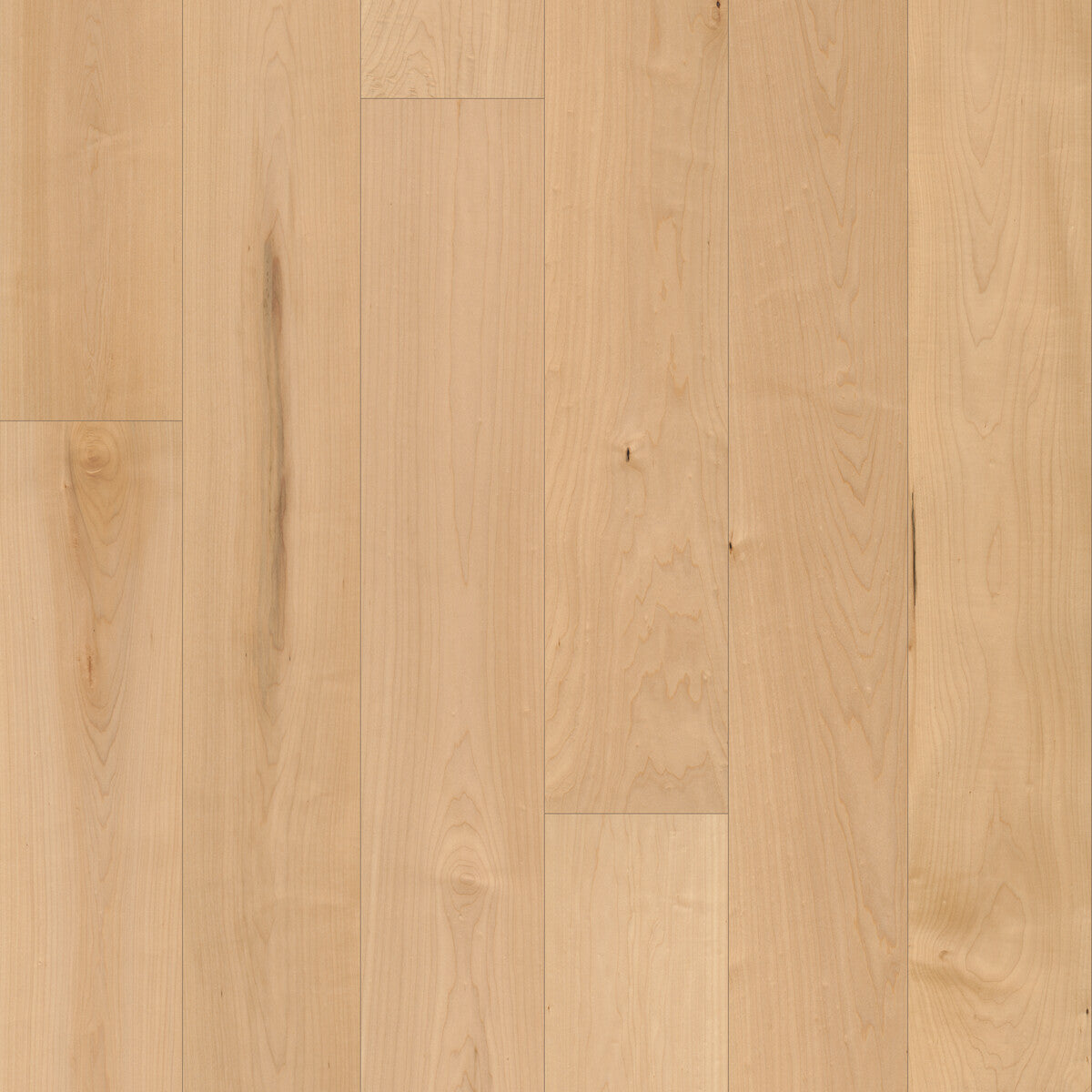 Classical Elegance Sonatina Engineered Hardwood Flooring, Fuzion square flooring swatch