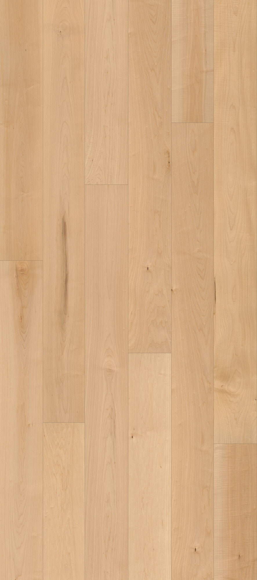 Classical Elegance Sonatina Engineered Hardwood Flooring, Fuzion swatch