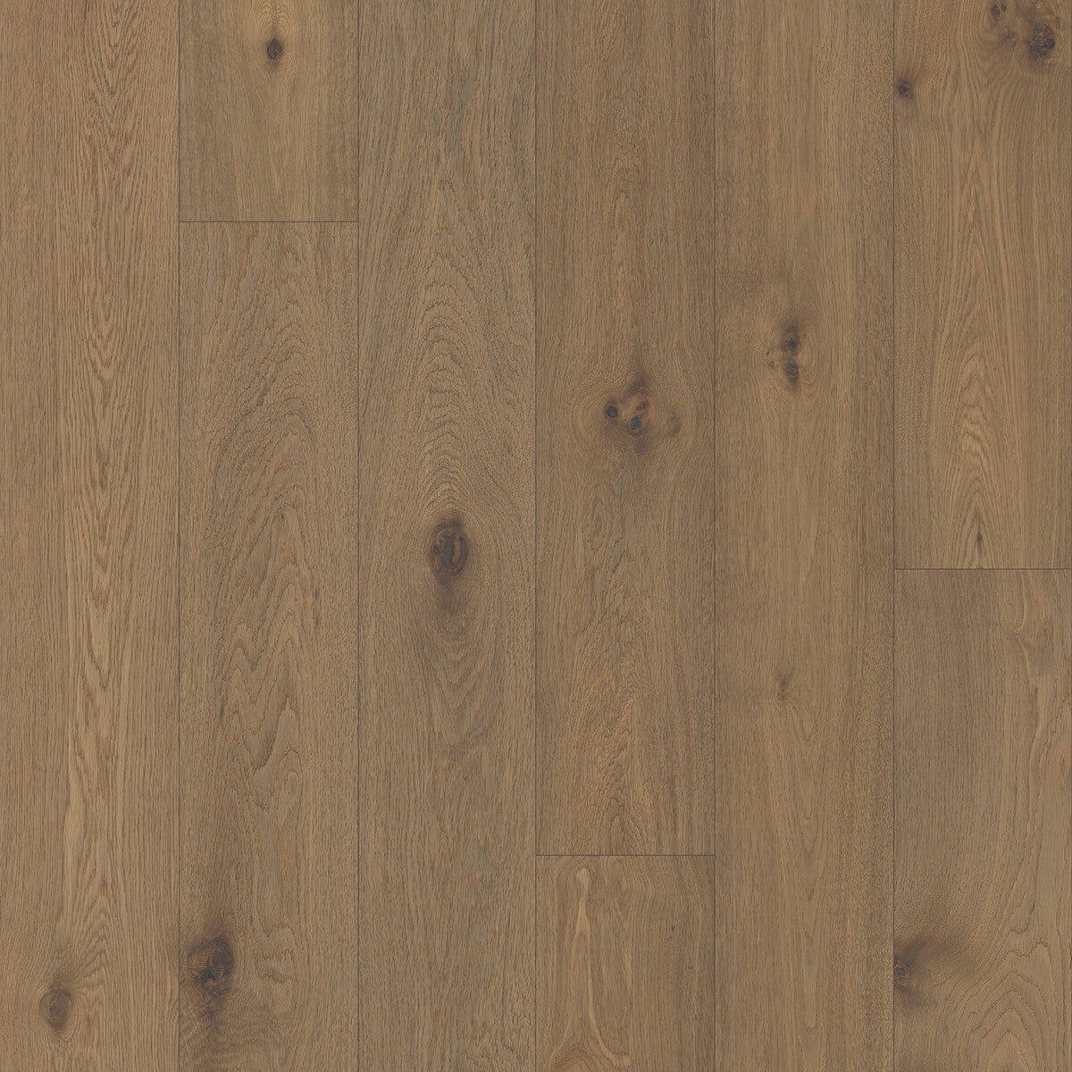 Classical Elegance Andante Engineered Hardwood Flooring, Fuzion square flooring swatch