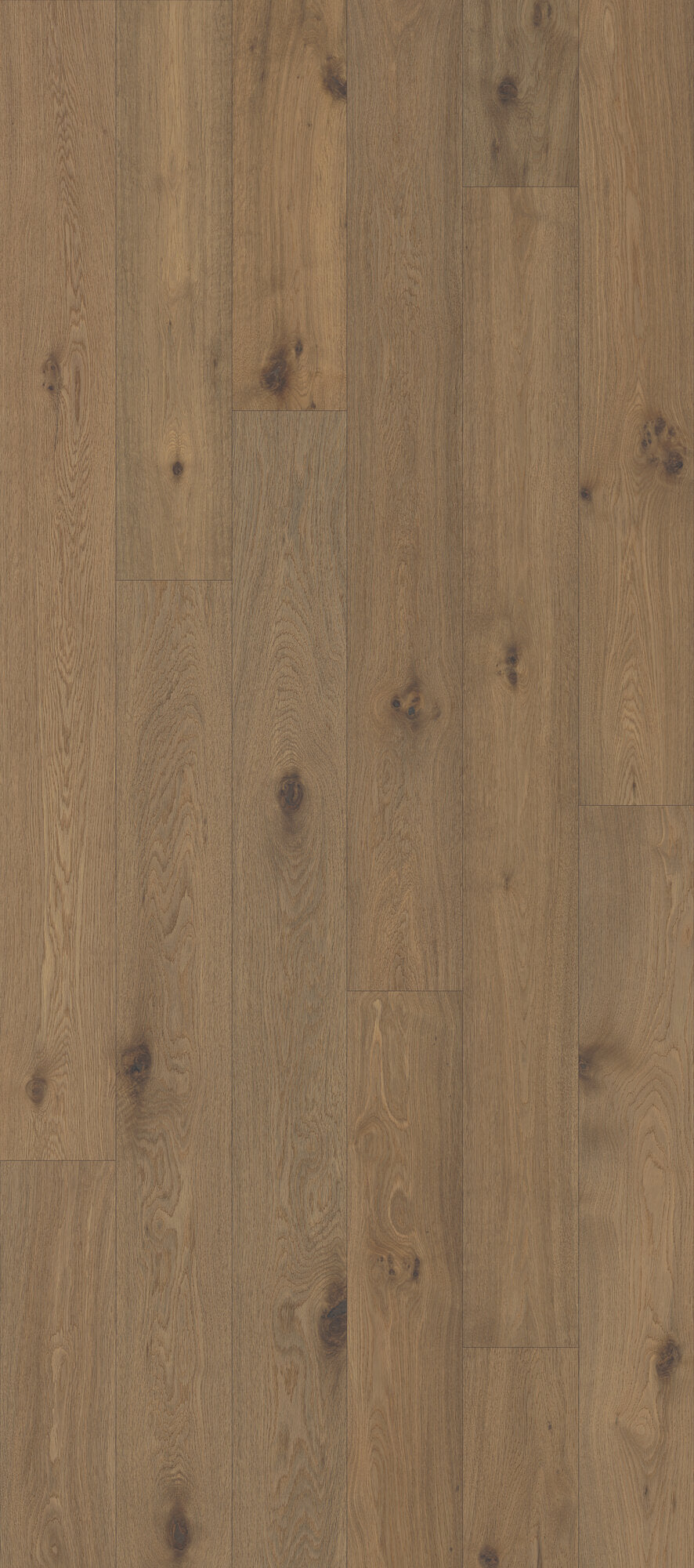 Classical Elegance Andante Engineered Hardwood Flooring, Fuzion swatch