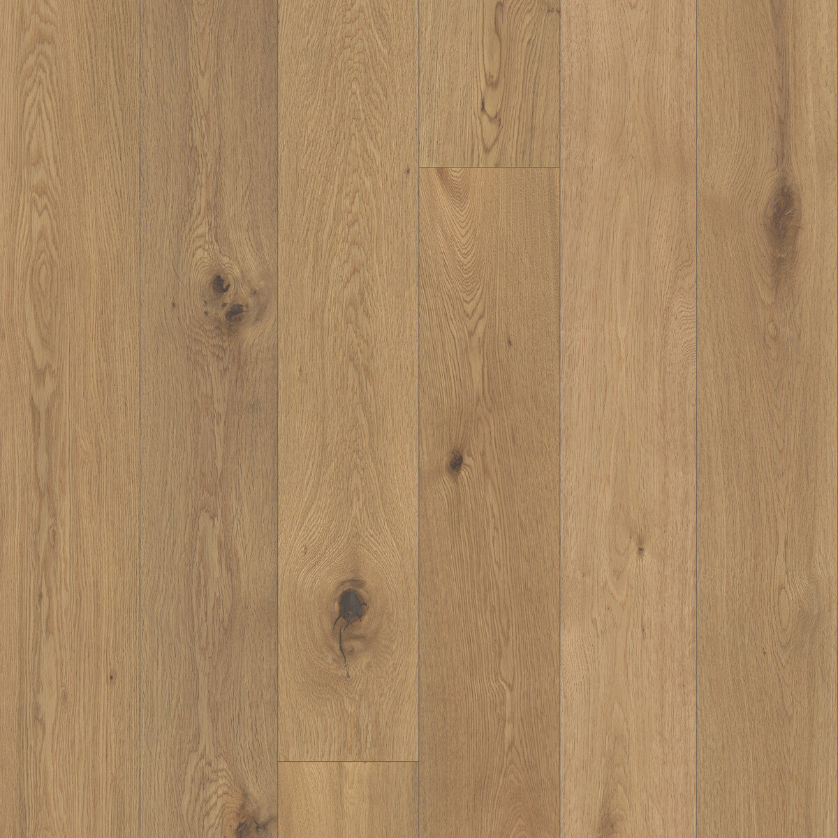 Classical Elegance Cantabile Engineered Hardwood Flooring, Fuzion square flooring swatch
