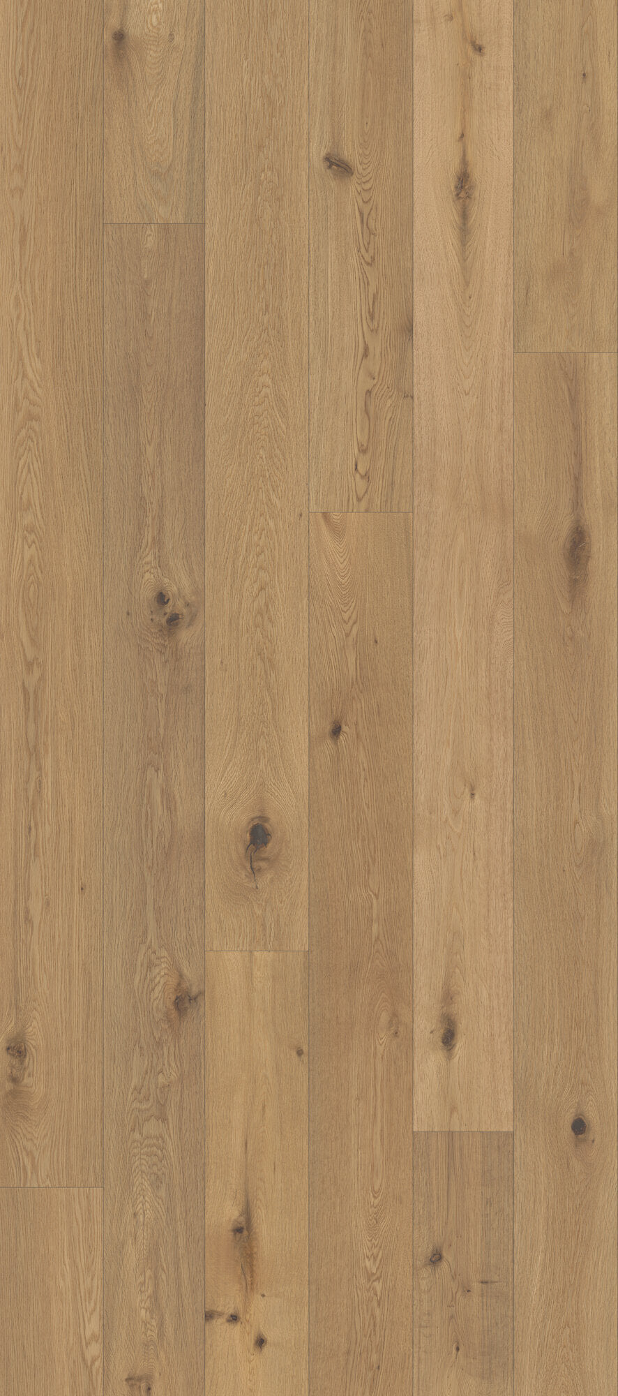 Classical Elegance Cantabile Engineered Hardwood Flooring, Fuzion swatch
