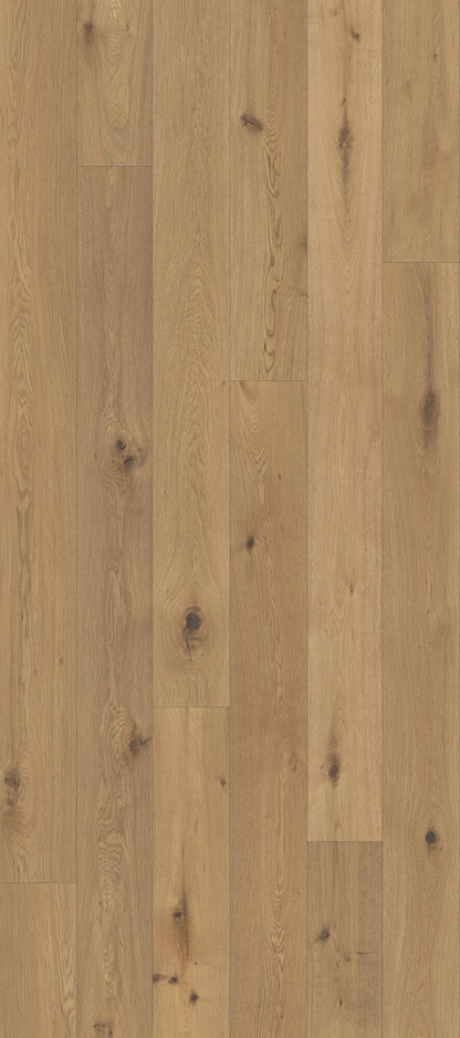 Classical Elegance Cantabile Engineered Hardwood Flooring, Fuzion swatch
