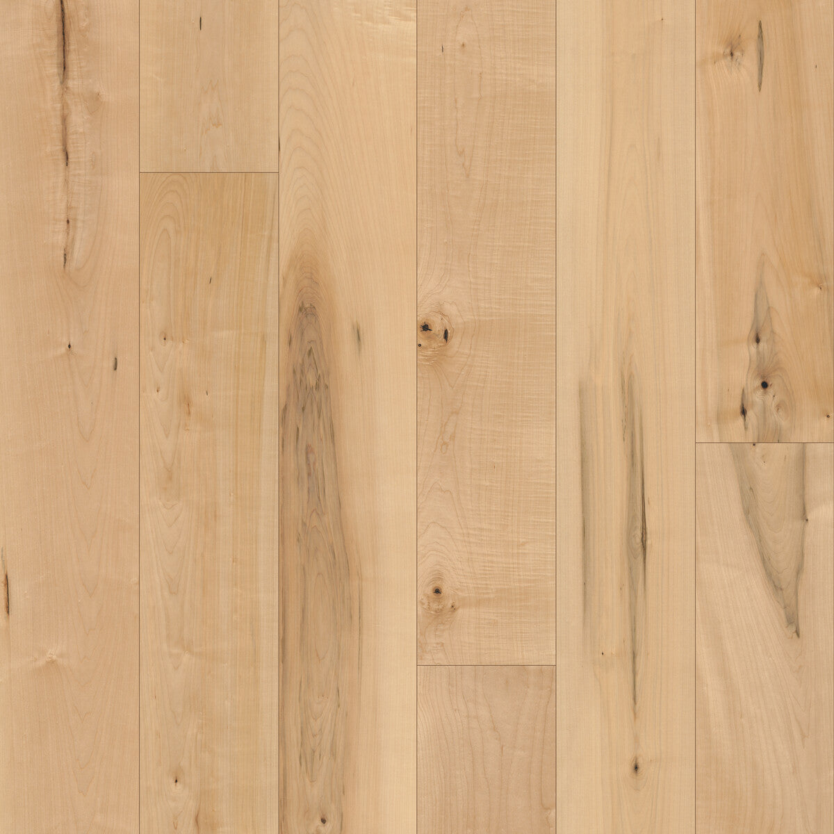Coastline Maple Inlet Engineered Hardwood Flooring, Fuzion square flooring swatch