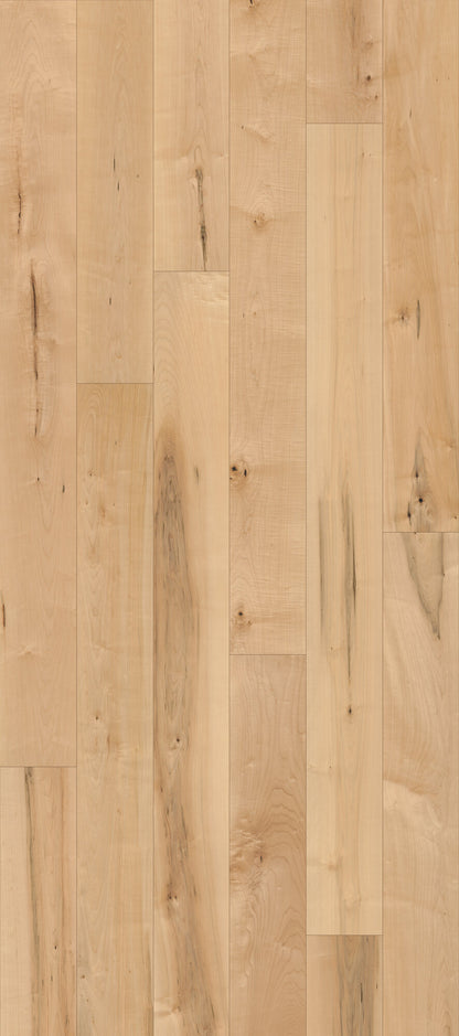Coastline Maple Inlet Engineered Hardwood Flooring, Fuzion swatch