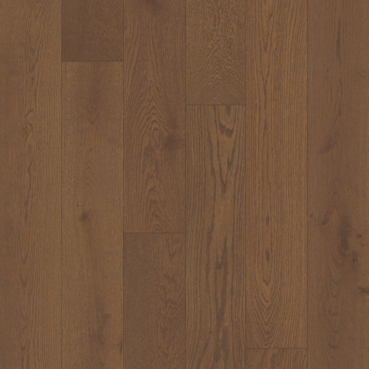 Coastline Coral Haven Engineered Hardwood Flooring, Fuzion square flooring swatch