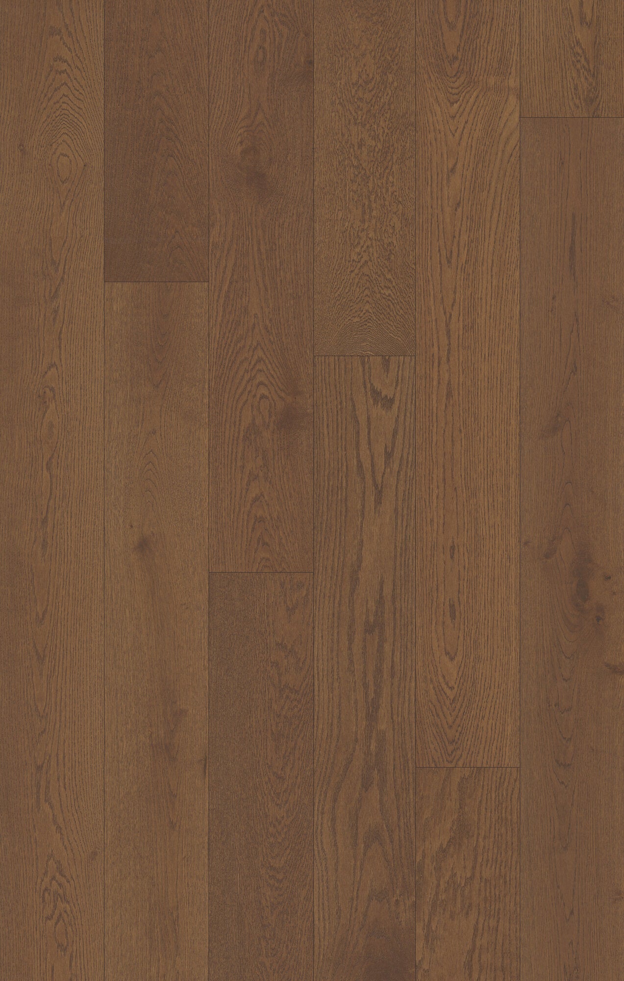 Coastline Coral Haven Engineered Hardwood Flooring, Fuzion swatch