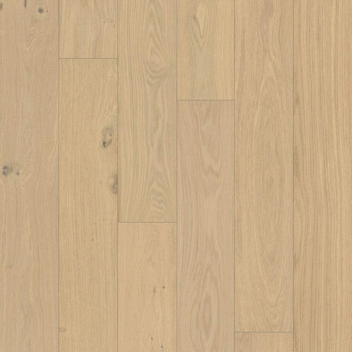 Coastline Dune Crest Engineered Hardwood Flooring, Fuzion square flooring swatch