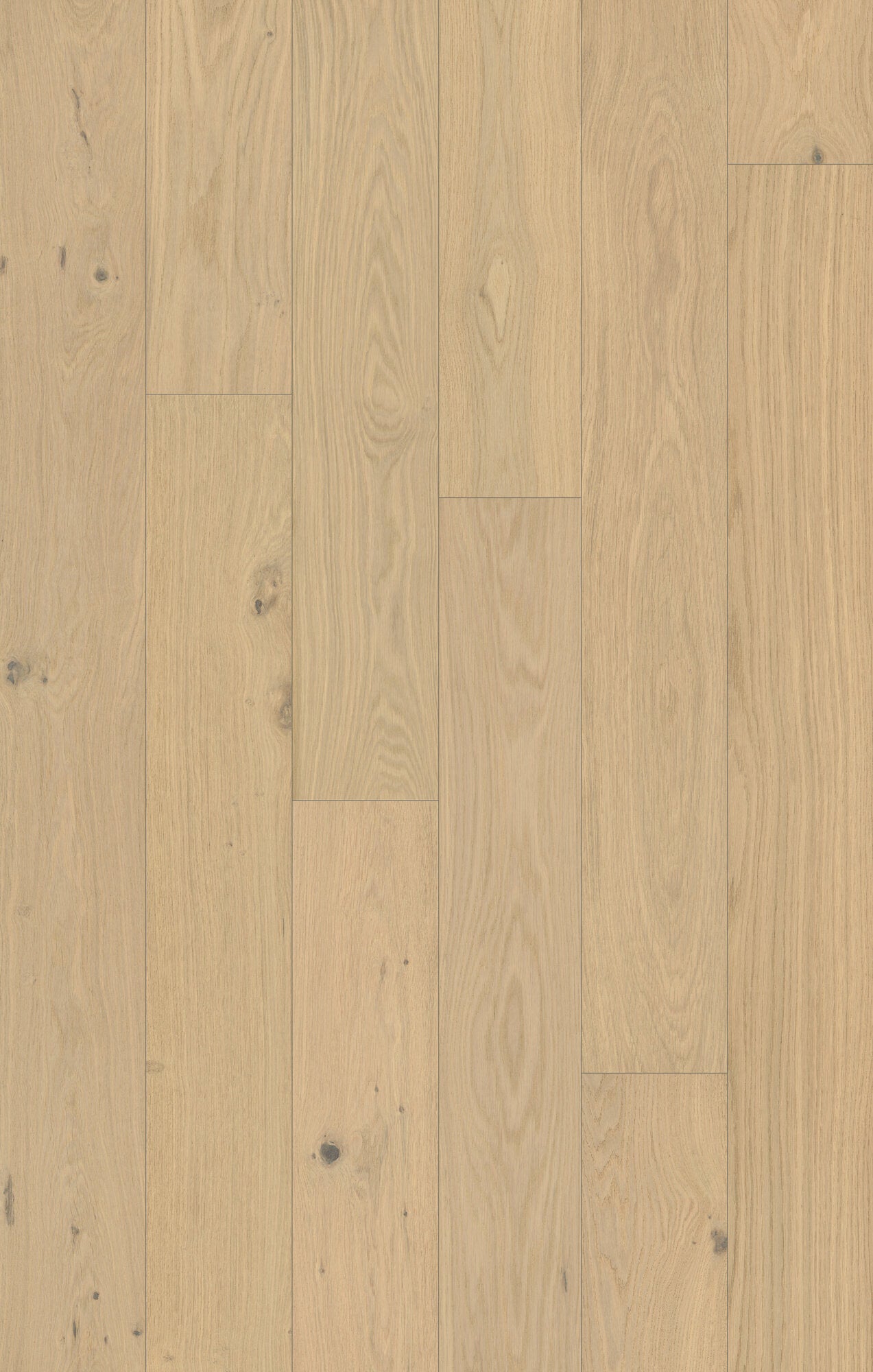 Coastline Dune Crest Engineered Hardwood Flooring, Fuzion swatch