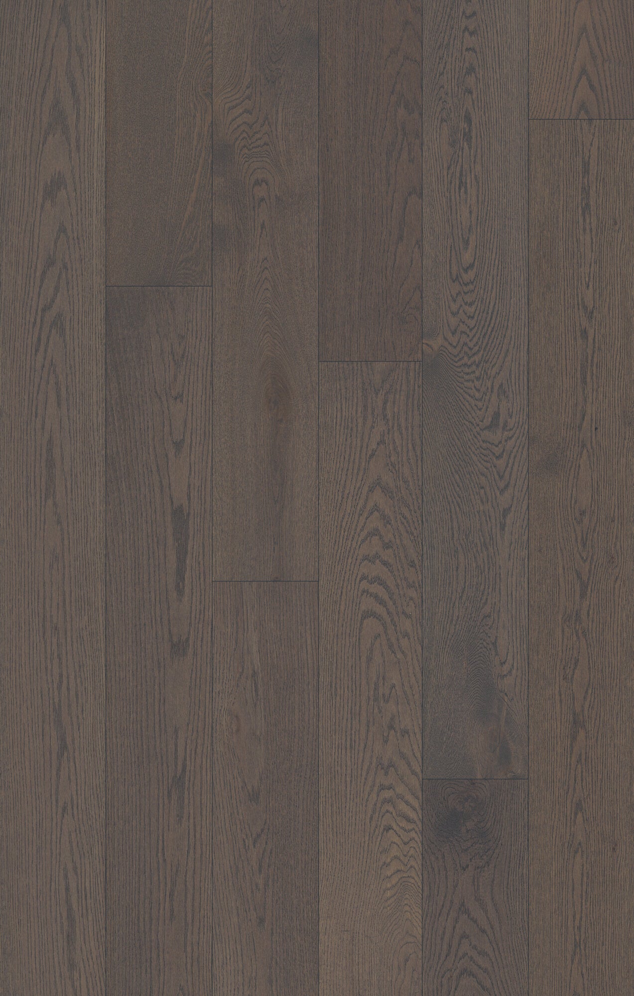 Coastline Lighthouse Shadow Engineered Hardwood Flooring, Fuzion swatch