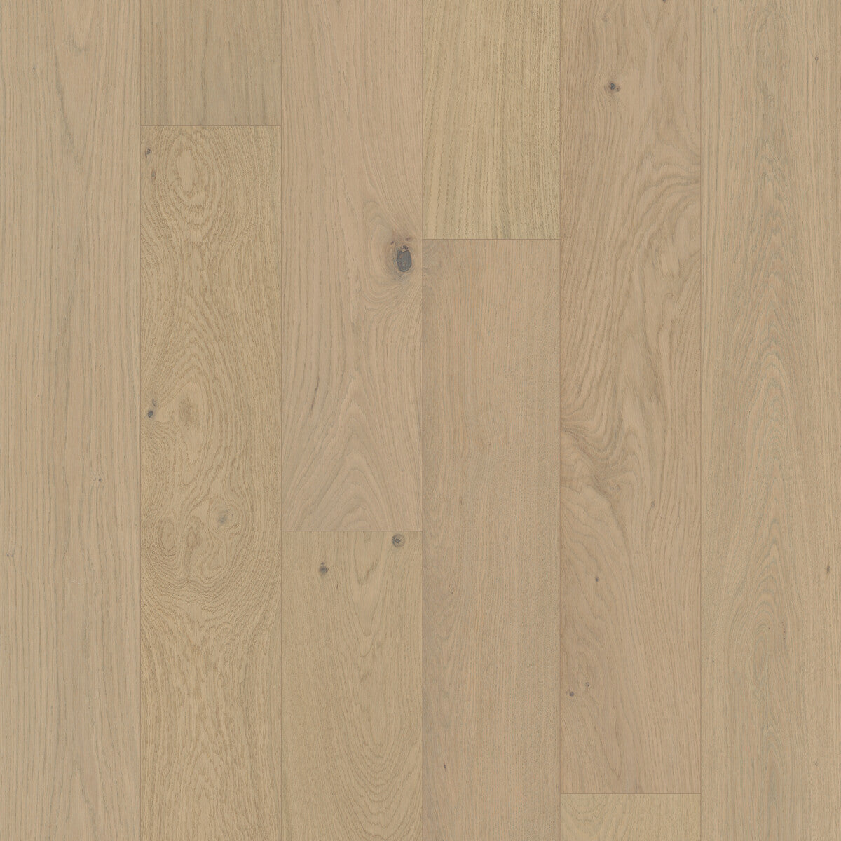 Coastline Ocean Bluff Engineered Hardwood Flooring, Fuzion square flooring swatch