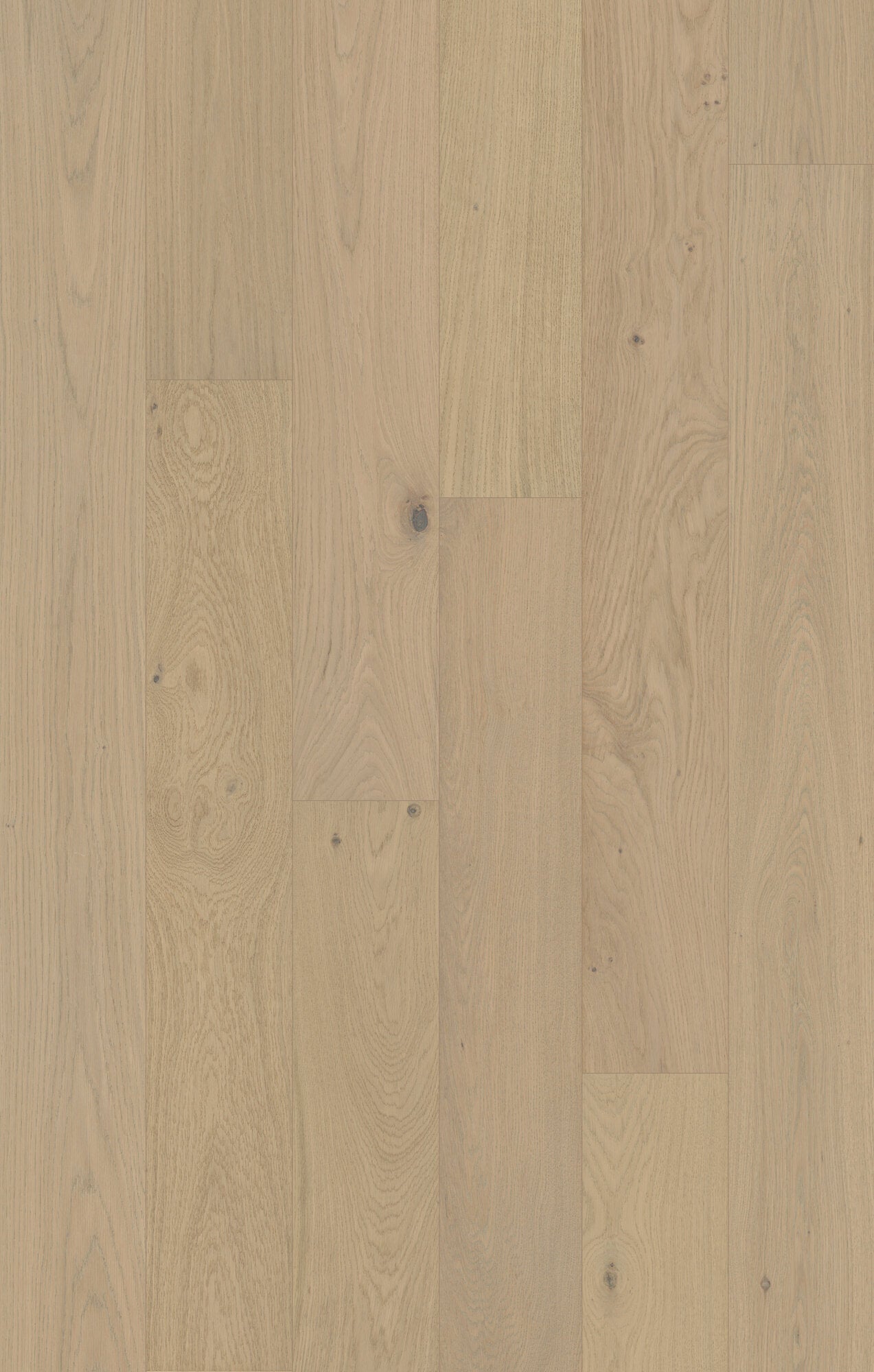 Coastline Ocean Bluff Engineered Hardwood Flooring, Fuzion swatch