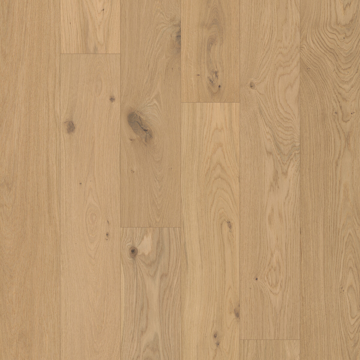 Coastline Saltwash Engineered Hardwood Flooring, Fuzion square flooring swatch