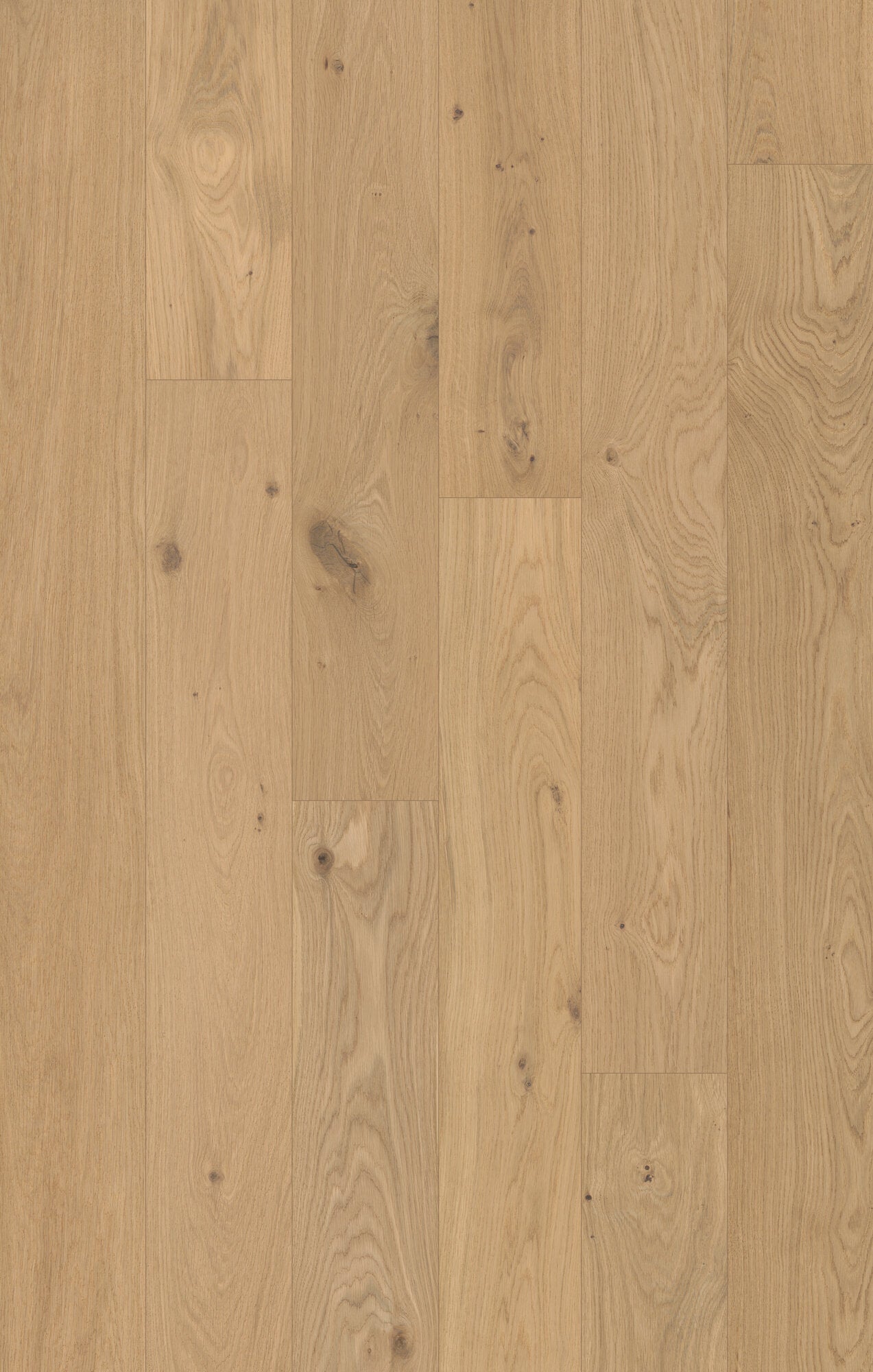 Coastline Saltwash Engineered Hardwood Flooring, Fuzion swatch