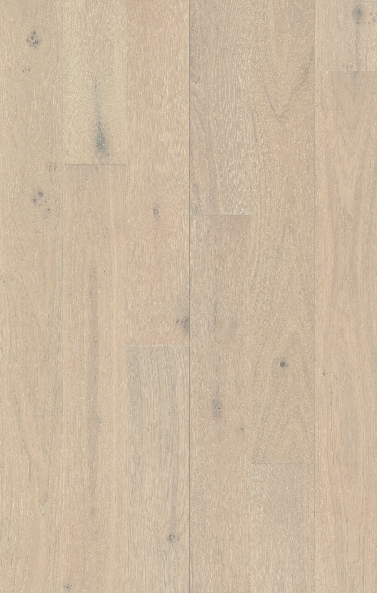 Coastline Tidepool Hue Engineered Hardwood Flooring, Fuzion swatch