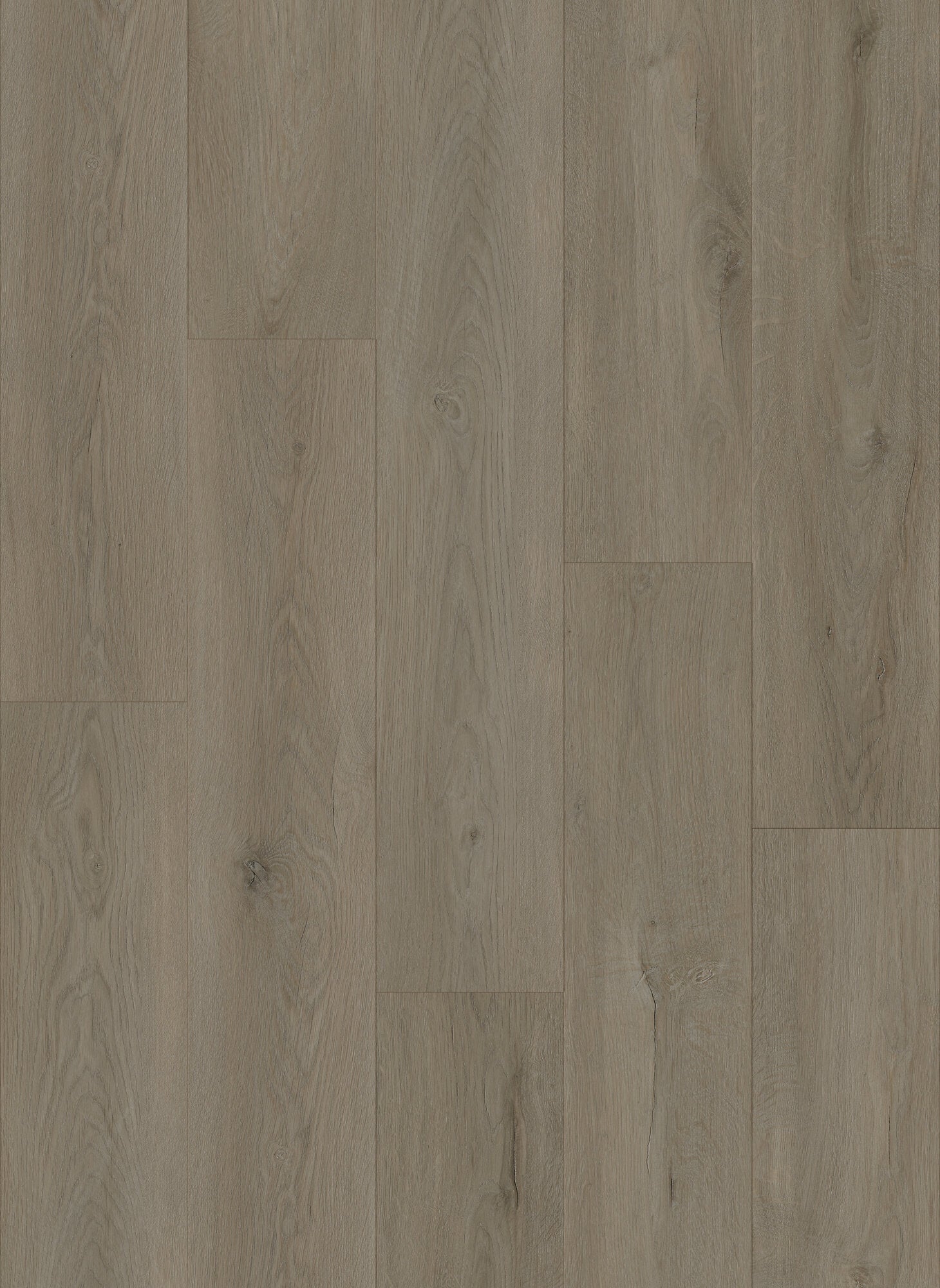 Dynamix Premiere Galena Luxury Vinyl Plank Flooring, Fuzion swatch
