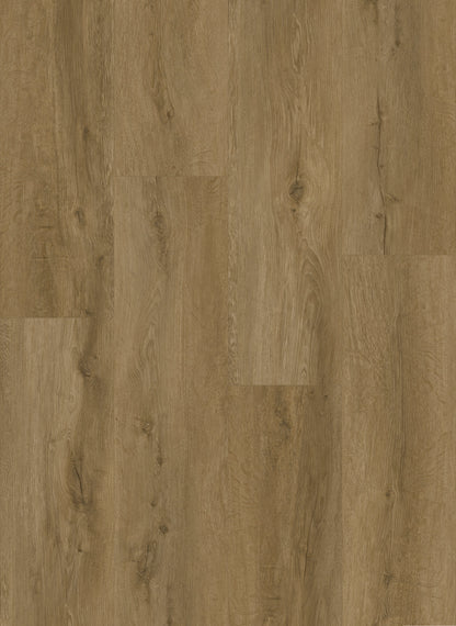 Dynamix Premiere Quebec Luxury Vinyl Plank Flooring, Fuzion swatch