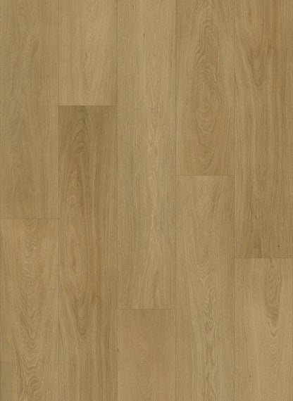 Dynamix Premiere Sedona Luxury Vinyl Plank Flooring, Fuzion swatch
