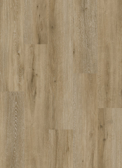 Dynamix Premiere Sonoma Luxury Vinyl Plank Flooring, Fuzion swatch