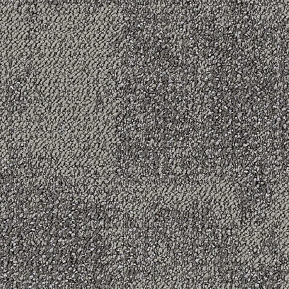 Fuzion Carpet Tile Nylon BalaBay Garibaldi