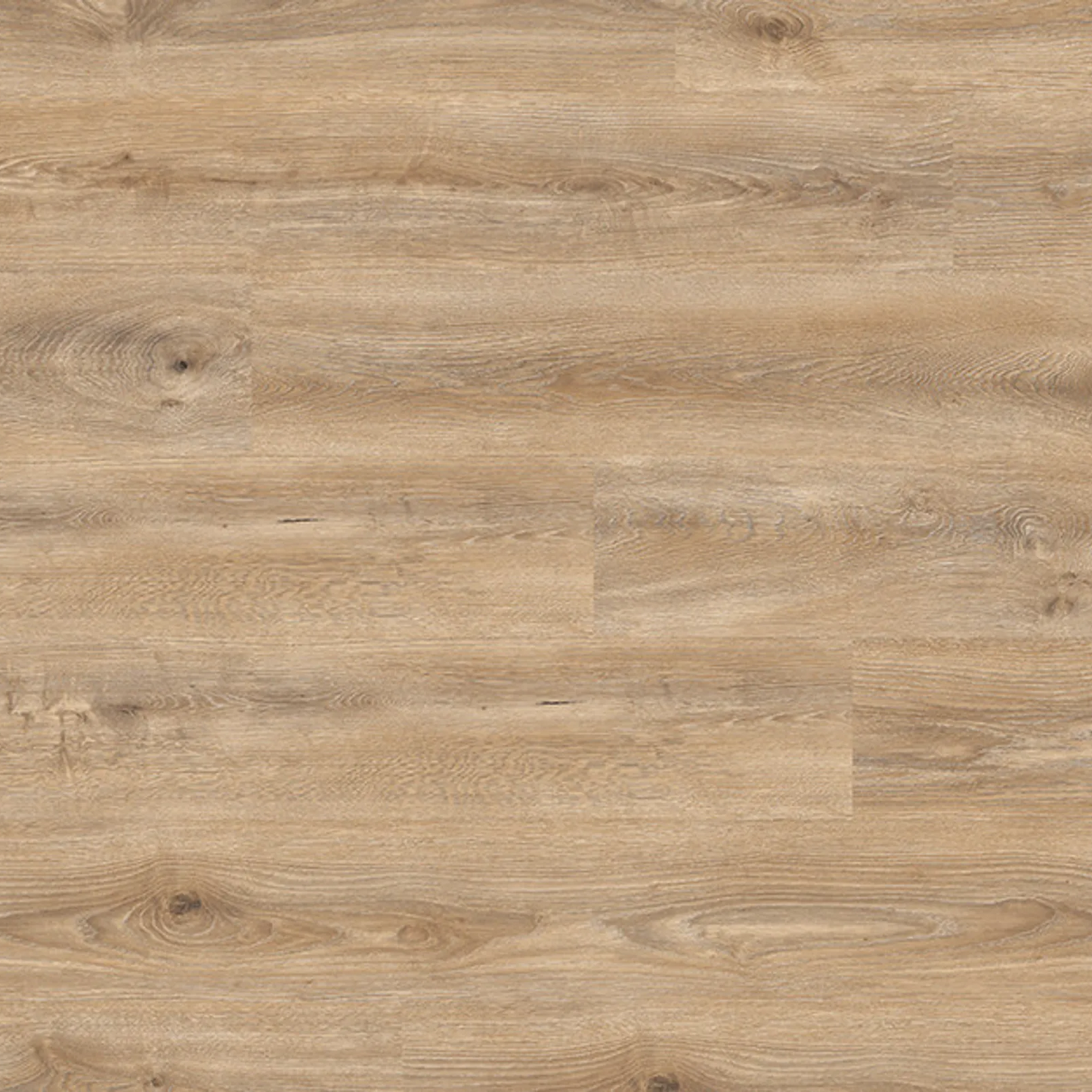 Fuzion Laminate Flooring Atlantis Seahorse