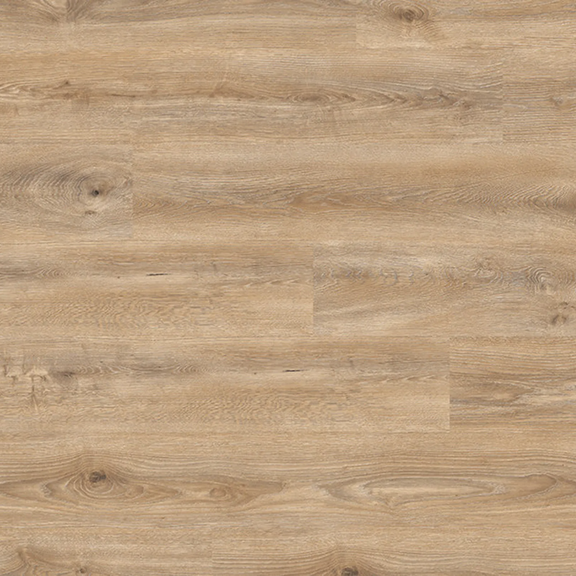 Fuzion Laminate Flooring Atlantis Seahorse