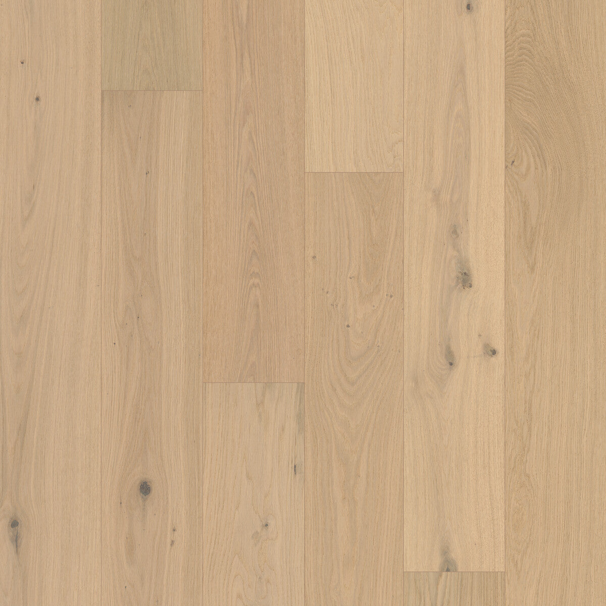 Monarch Woods Aristo Ash Engineered Hardwood Flooring, Fuzion square flooring swatch