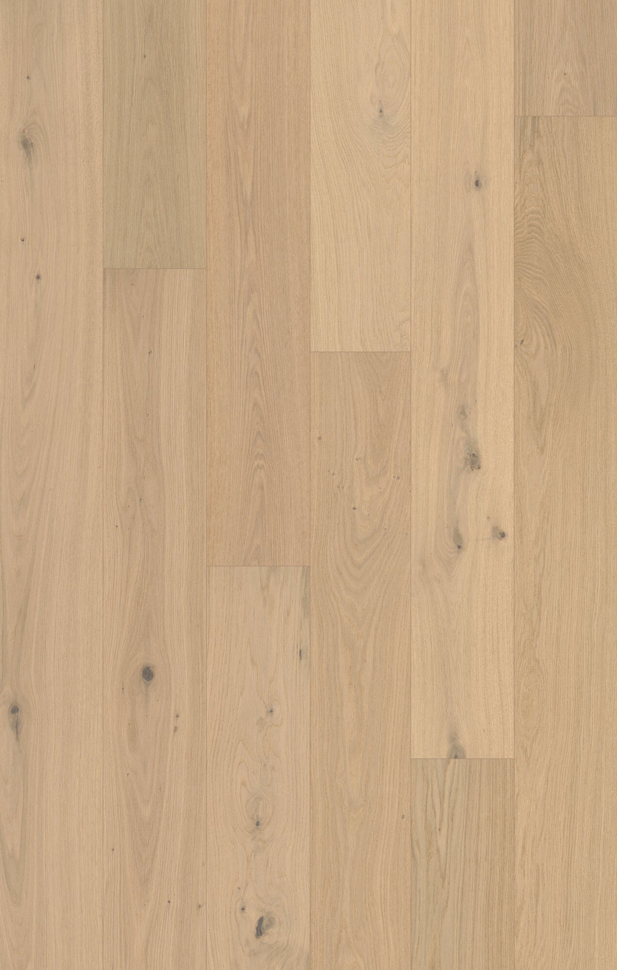 Monarch Woods Aristo Ash Engineered Hardwood Flooring, Fuzion swatch