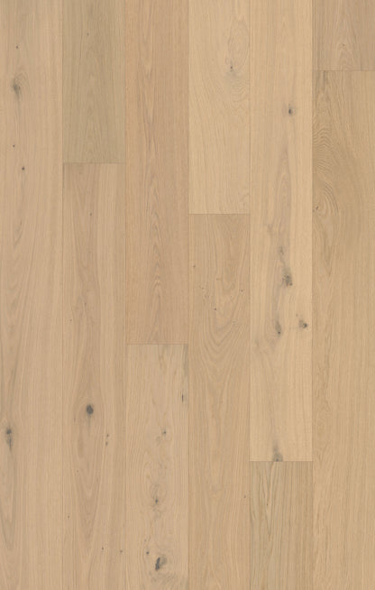 Monarch Woods Aristo Ash Engineered Hardwood Flooring, Fuzion swatch