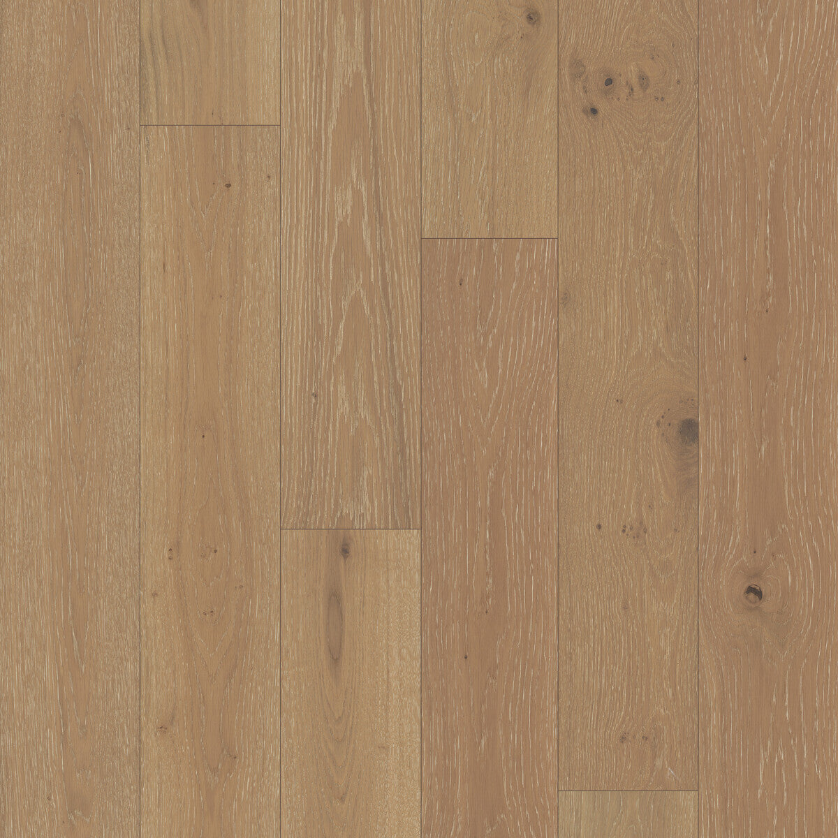 Monarch Woods Courtly Cream Engineered Hardwood Flooring, Fuzion square flooring swatch
